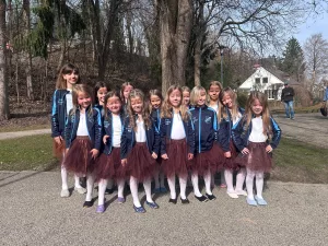 Tanzminis